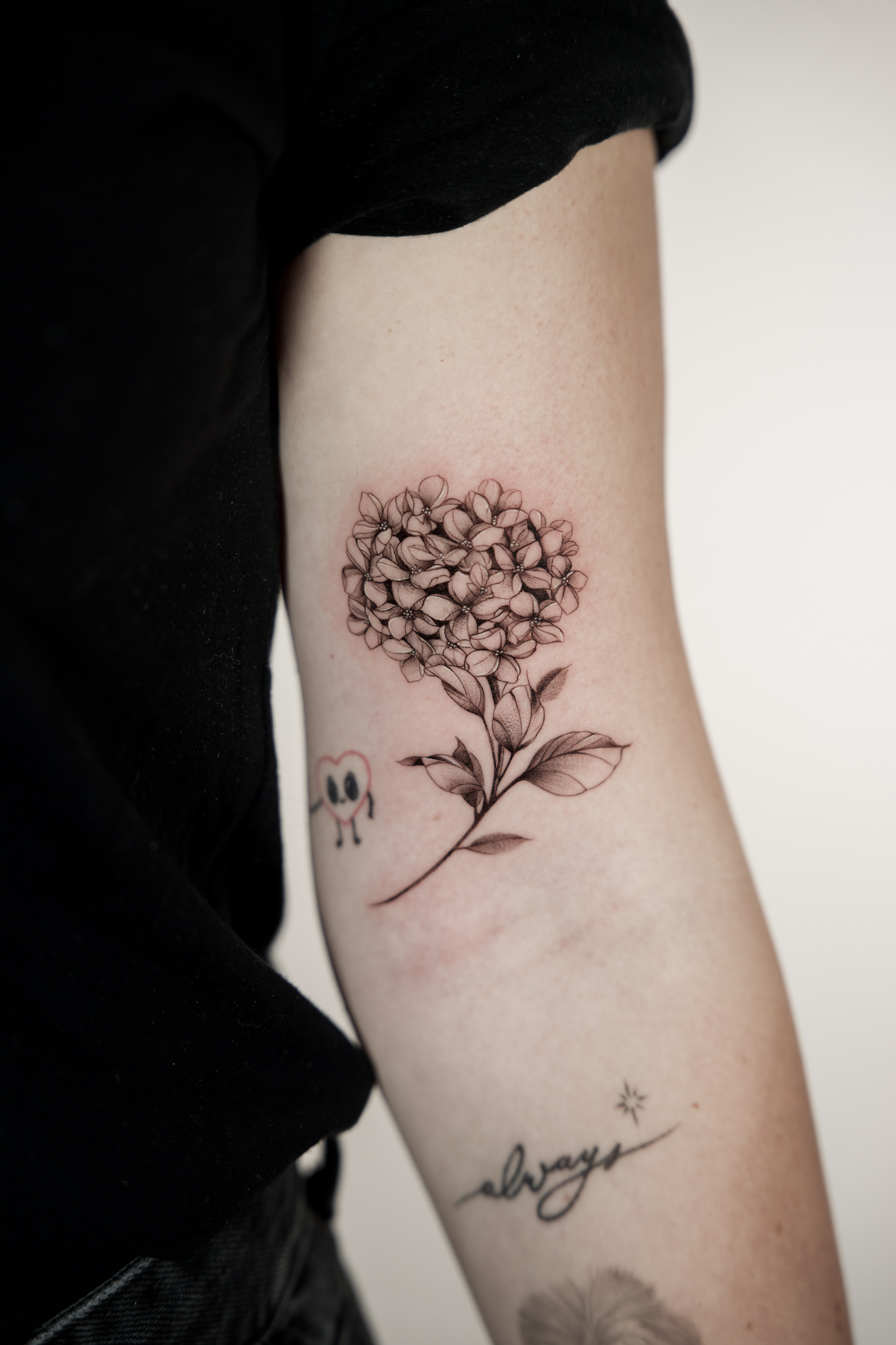 Tattoo T' Zeza — Tattoo T' Zeza — 15