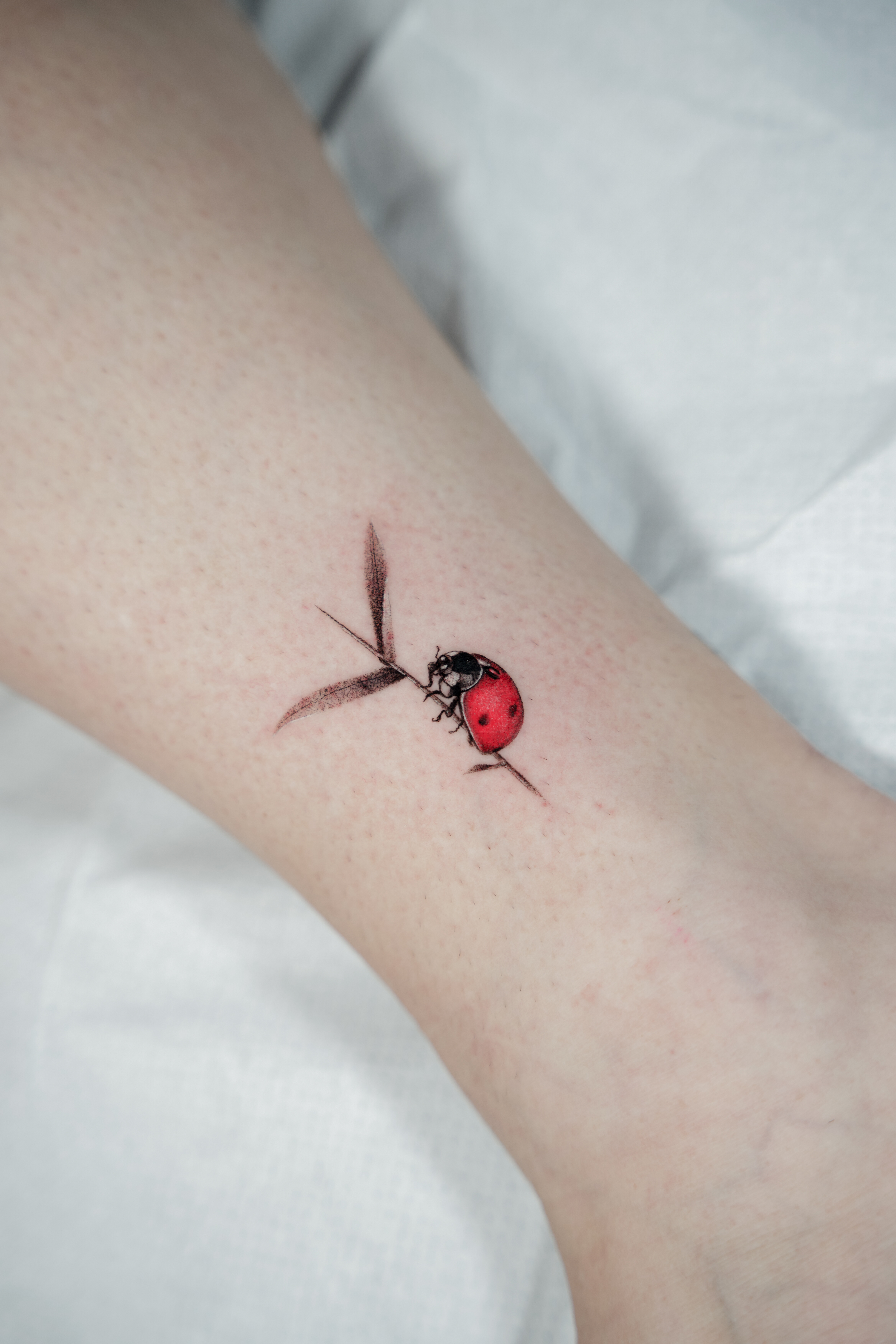 Tattoo T' Zeza — Tattoo T' Zeza — 17